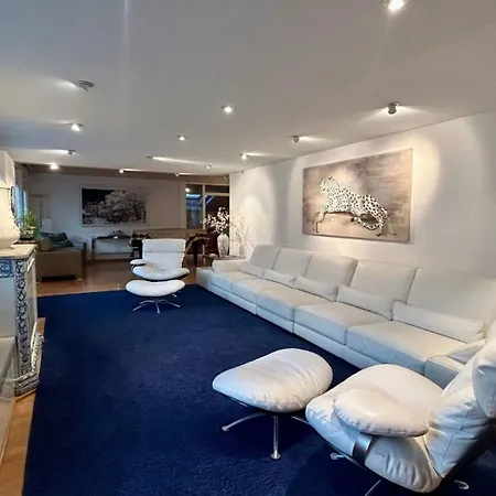 Super Luxurious Duplex Penthouse In Center