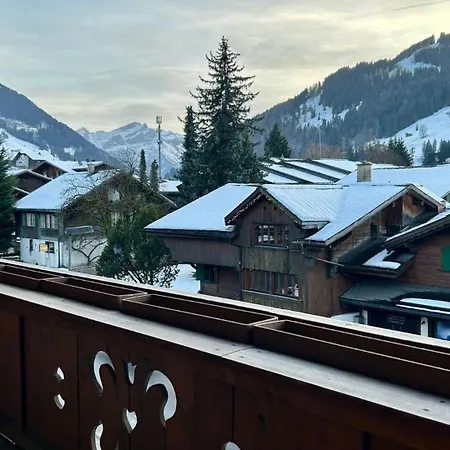 Super Luxurious Duplex Penthouse In Center Chalet